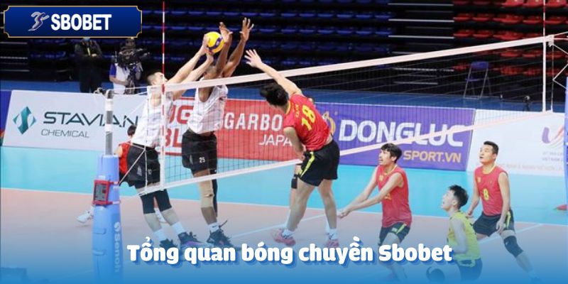 Tổng quan về bóng chuyền tại Sbobet