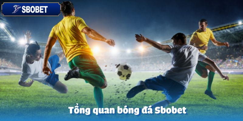 Tổng quan về bóng đá tại nhà cái Sbobet