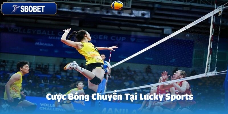 Bóng chuyền cũng là một lựa chọn lý tưởng tại Lucky Sports 33WIN