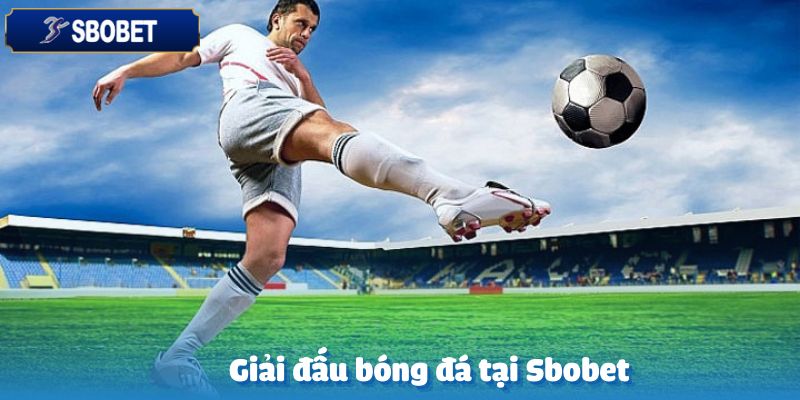 Các giải bóng đá được tổ chức tại Sbobet