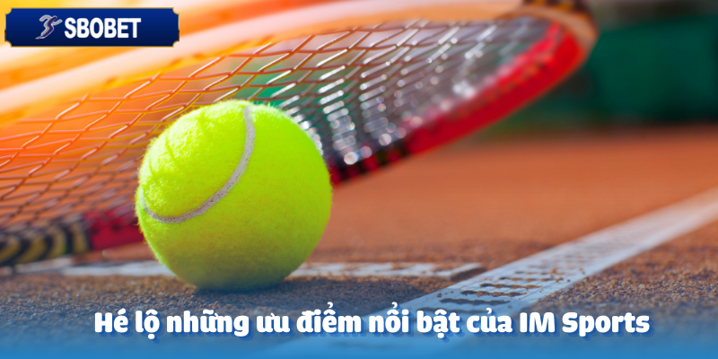 Lợi ích to lớn khi tham gia im sports cùng Sbobet