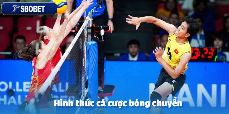 Những hình thức cá cược trong bóng chuyền