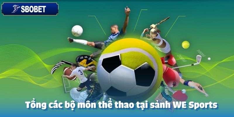  6 bộ môn thể thao nổi bật nhất mà bạn không thể bỏ lỡ tại WE Sports