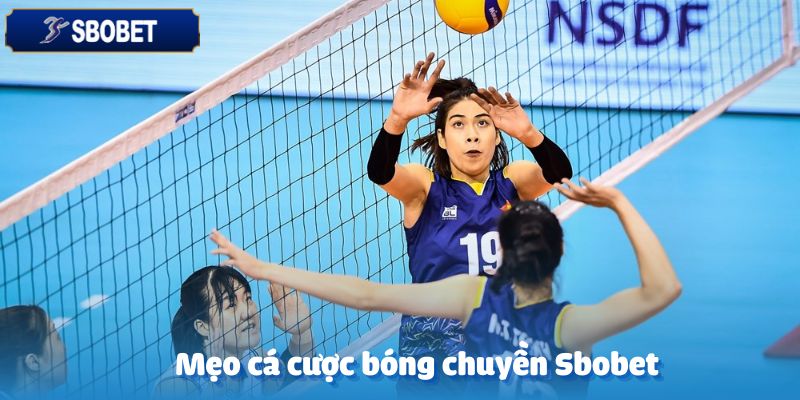 Mẹo hay khi tham gia cá cược bóng chuyền tại Sbobet