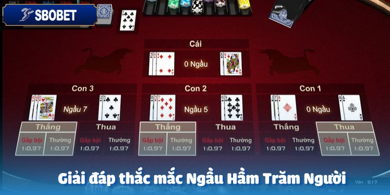 Giải đáp thắc mắc phổ biến về Ngầu Hầm trăm người