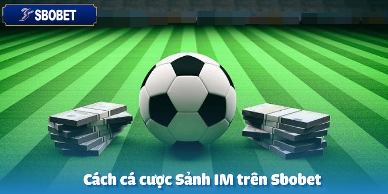 Cách tham gia cá cược tại sảnh IM trên nền tảng Sbobet