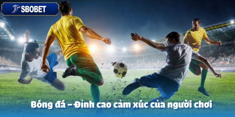 Bóng đá – môn thể thao vua luôn dẫn đầu tại UG Sports