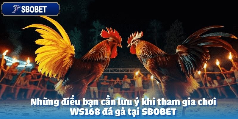 Chơi WS168 đá gà tại SBOBET để có trải nghiệm an toàn và hiệu quả