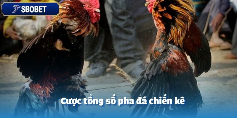 Cược tổng số pha đá là lựa chọn hoàn hảo tại Odin đá gà