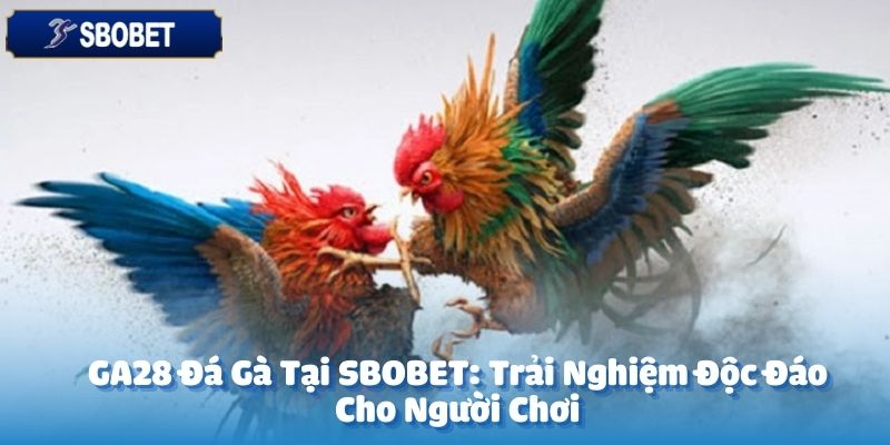 GA28 đá gà tại SBOBET là một trong những sảnh cược trực tuyến nổi bật