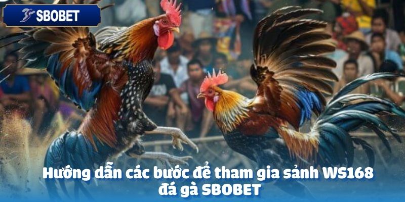 Tham gia sảnh WS168 đá gà tại SBOBET một cách nhanh chóng và dễ dàng