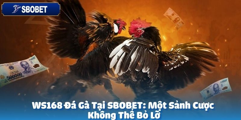 WS168 đá gà là một hình thức cá cược chiến kê trực tuyến đỉnh cao