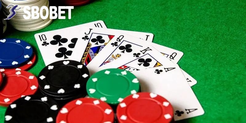Anh Vũ Đình Đọc Thắng 420 Triệu Từ Tiến Lên Miền Nam Tại SBOBET: Chơi Là Thắng! 4 Tìm hiểu ngay thủ thuật chơi Tiến Lên Miền Nam của ĐọcĐỉnhVip